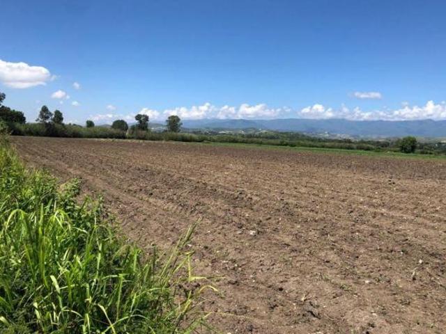 Terreno en San Sebastian Etla de 21,550 m2 en venta