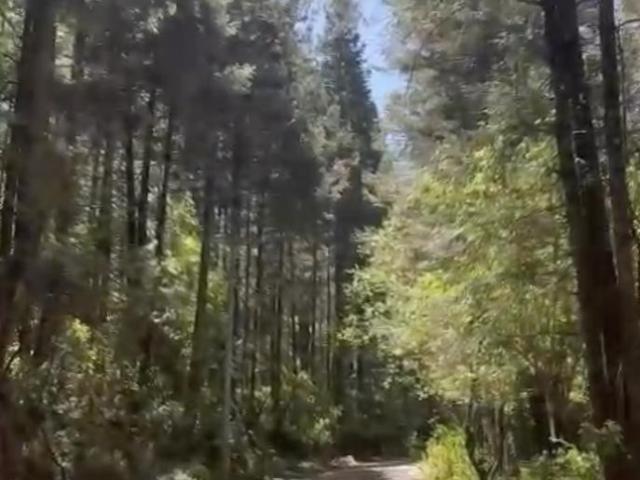 Terreno en Santa Mar?a Mazatla