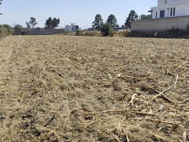 Terreno en Santa Mar?a Nativitas