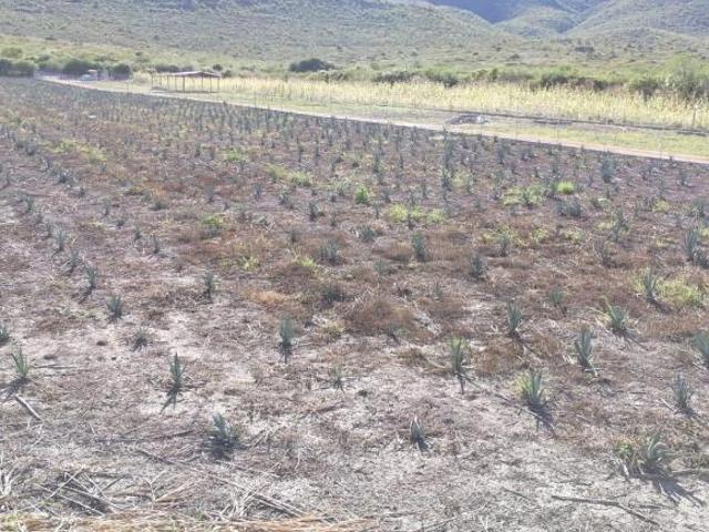 Terreno en Santa Marìa el Tule
