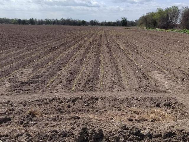 TERRENO EN SANTA MARIA PESQUERIA