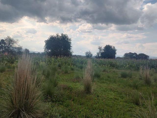 TERRENO EN SANTA CRUZ CUAUHTENCO, ZINACANTEPEC