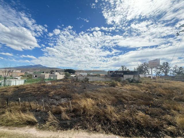 Terreno en Santa Cruz de las Flores