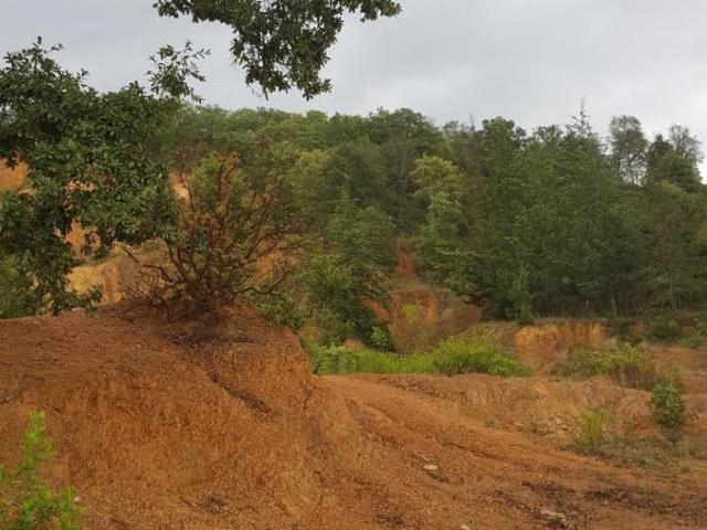 Terreno en Santa Rosa en Guanajuato Capital