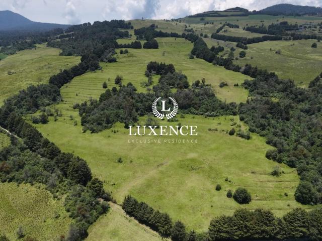 Terreno en Santo Tomas Ajusco en Venta