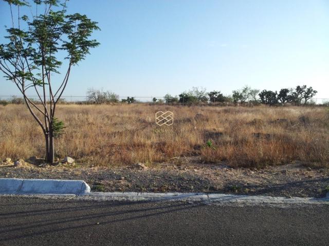 Terreno en Silao