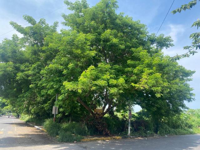 Terreno en venta Todo o en partes frente al DIF matamoros, Veracruz, Ver