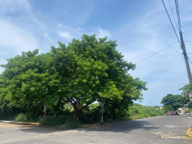 Terreno en venta Todo o en partes frente al DIF matamoros, Veracruz, Ver