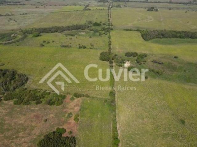 Terreno en Tampico Alto