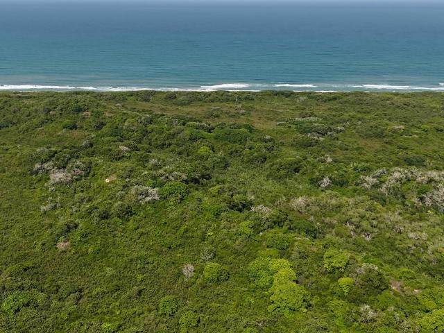 Terreno en Tampico Alto