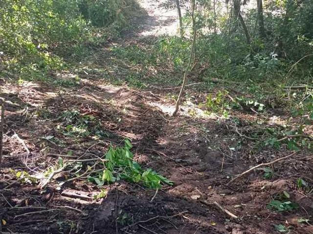 Terreno en Tampico Alto