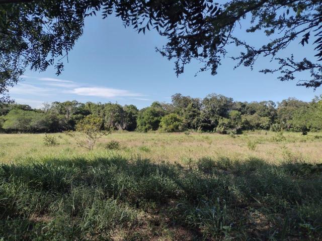 Terreno en Tampico Alto