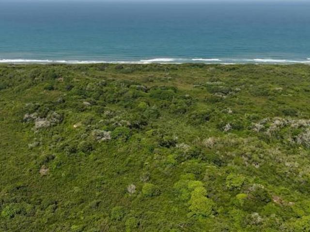 Terreno en Tampico Alto