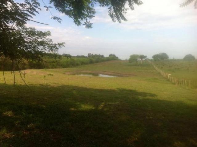 Terreno en TAMPICO ALTO