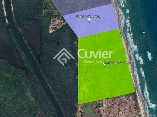 Terreno en Tampico Alto