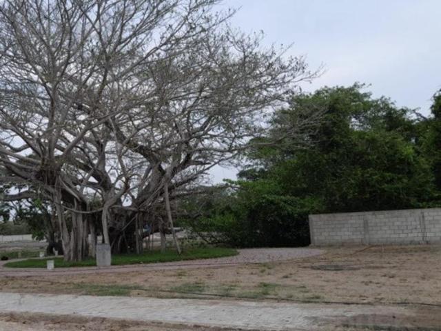 Terreno en Tampico alto, Veracruz
