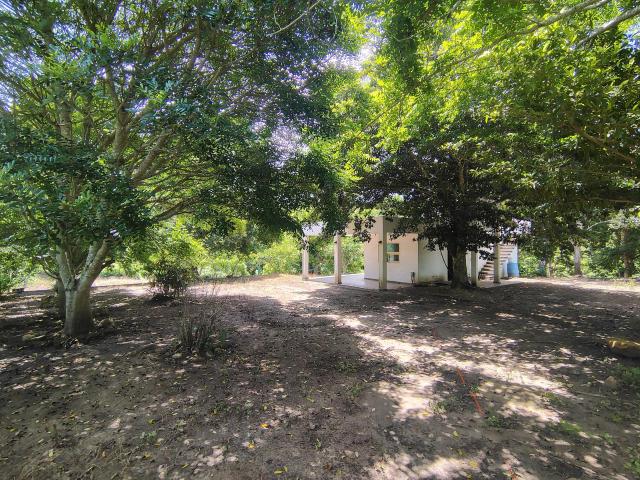 Terreno en Tampico Alto Centro