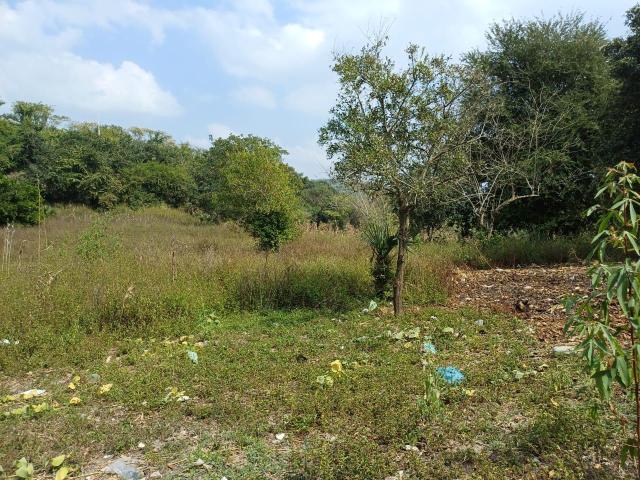 Terreno en Tantoyuca