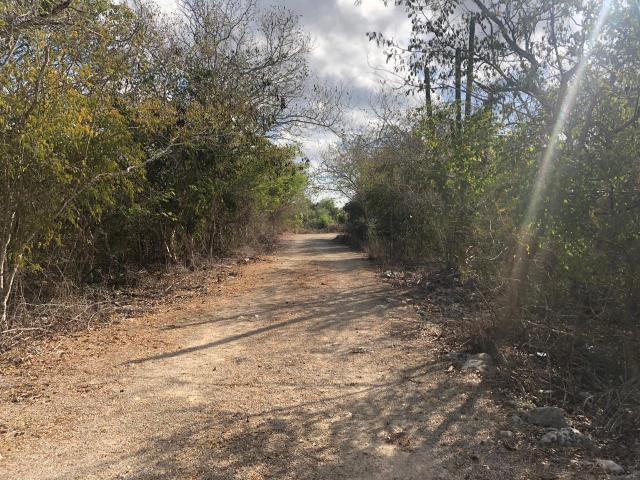 Terreno en Telchac Pueblo