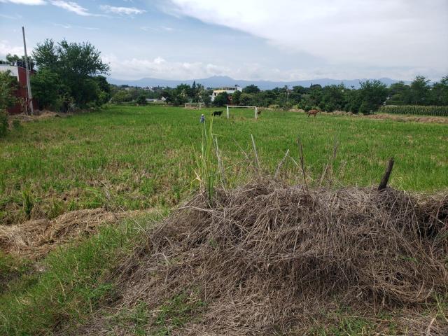 Terreno en TEMIXCO