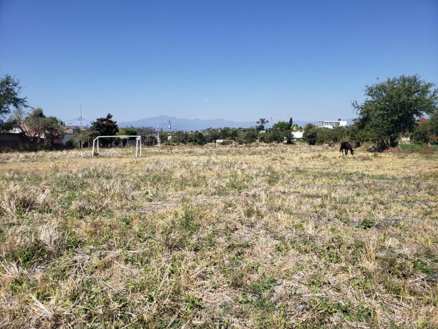 Terreno en TEMIXCO