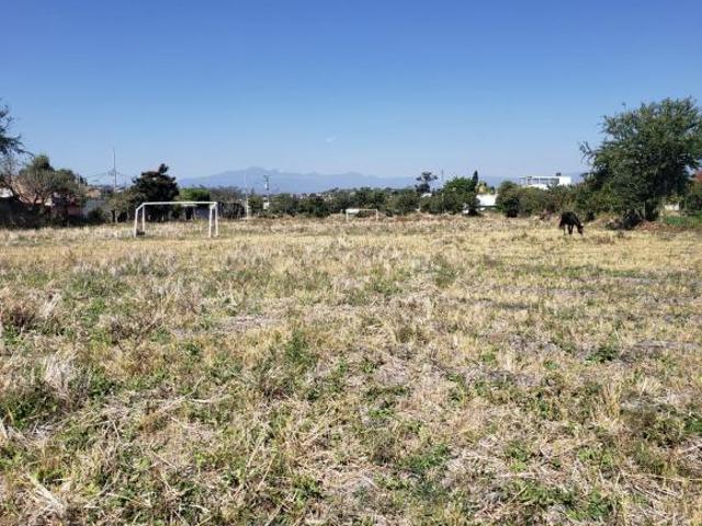 Terreno en TEMIXCO