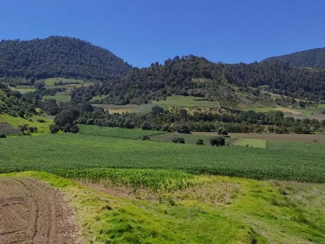TERRENO EN TENANGO DEL VALLE