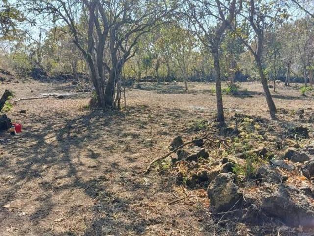 Terreno en Tepoztlán, Morelos, Paraje Chantenco CESIÓN DE DERECHOS …Clave 6110
