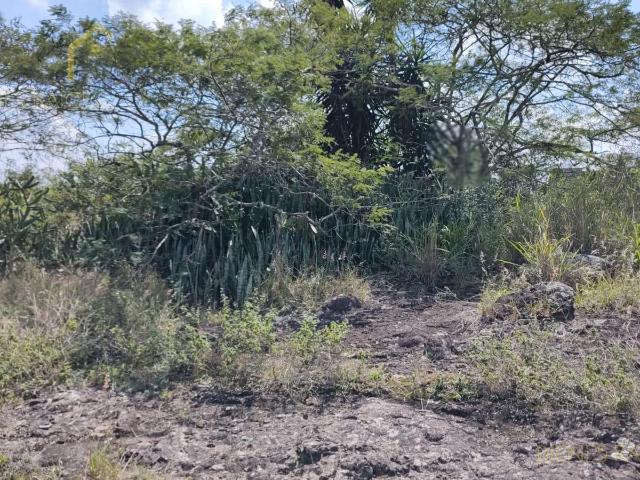 Terreno en Terreno en venta en El Chico municipio de Emiliano Zapata