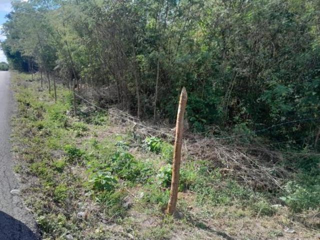 29 hect. 316 mts de Fte de calle entre Tixpehual, Y SAHE, con postes de luz