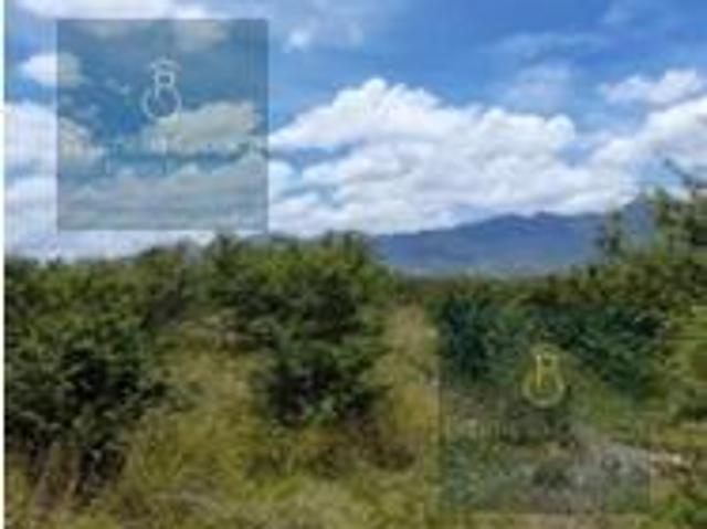 Terreno en Tlacolula de Matamoros