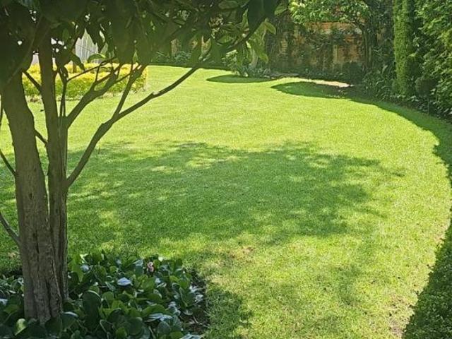 Terreno en Tlacopac