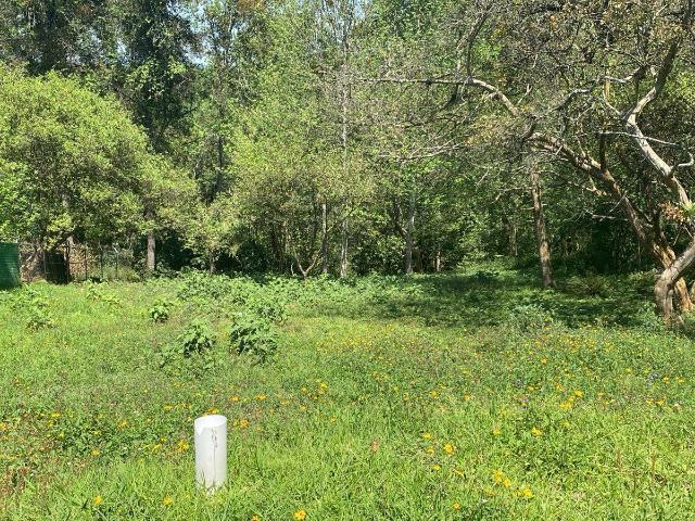 Terreno en Tlalnelhuayocan