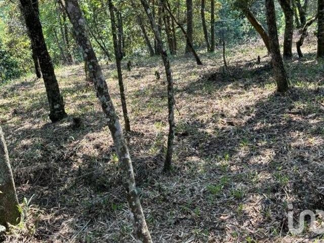 Terreno en Tlalnelhuayocan