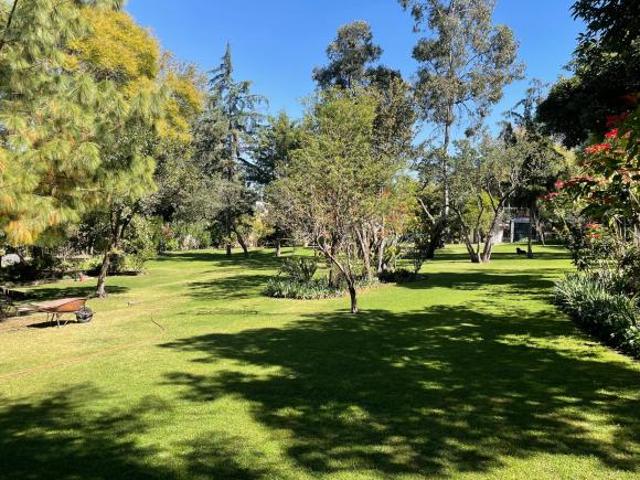 Terreno en Tlalpan Centro | 4,310 m² | $11,500/m²