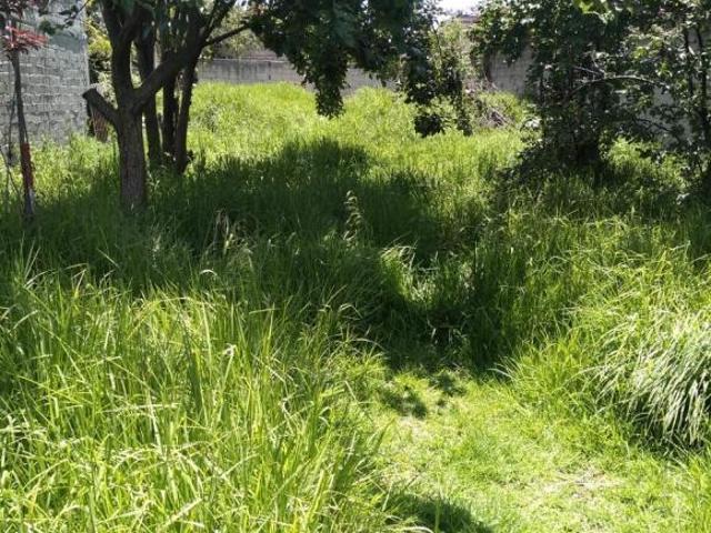 Terreno en Toluca en Venta