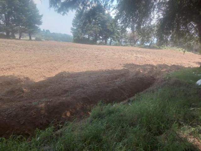TERRENO EN TOPILEJO