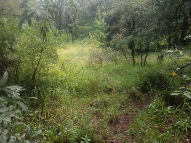 Terreno en Valle de Bravo