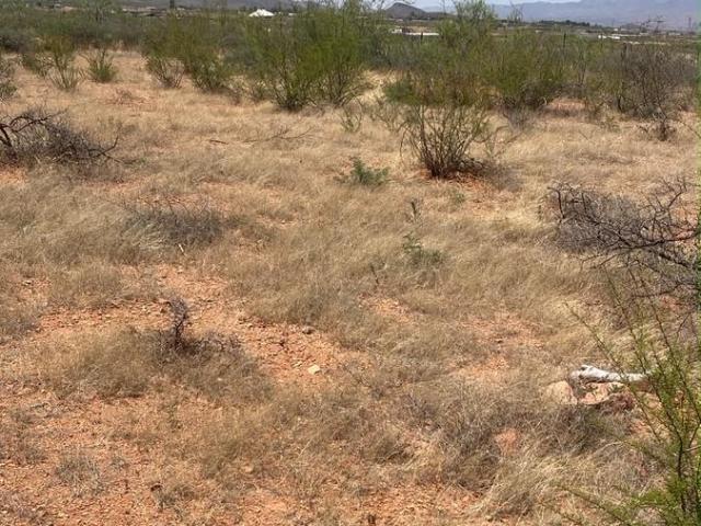 Terreno en valle de Chihuahua