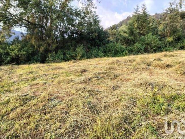 Terreno En Venta Municipio De Tenancingo