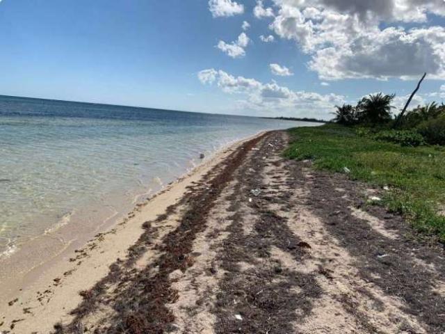 Terreno en venta mahahual Quintana Roo