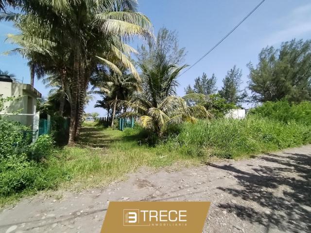 Terreno en venta Mata de Uva, Alvarado, Veracruz