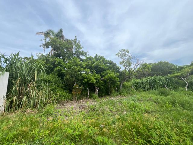 Terreno en venta Mata de Uva, Alvarado, Veracruz