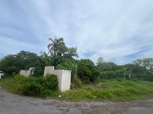 Terreno en venta Mata de Uva, Alvarado, Veracruz