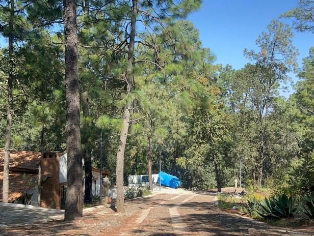 TERRENO EN VENTA MAZAMITLA EN CONDOMINIO PRIVADO SIERRA ENCANTADA, PRECIO DE OPORTUNIDAD