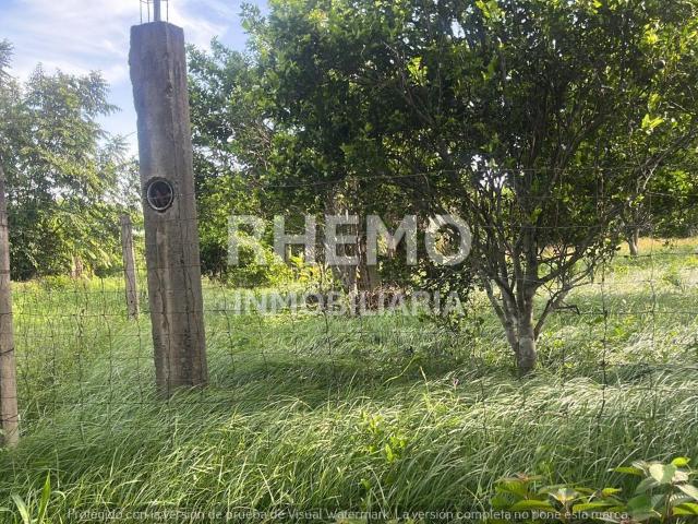 Terreno en Venta media hect?rea en Juana Moza, Tuxpan, Ver
