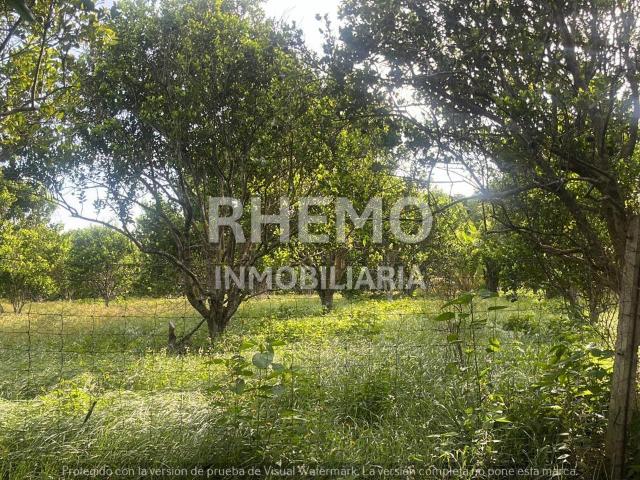 Terreno en Venta media hect?rea en Juana Moza, Tuxpan, Ver