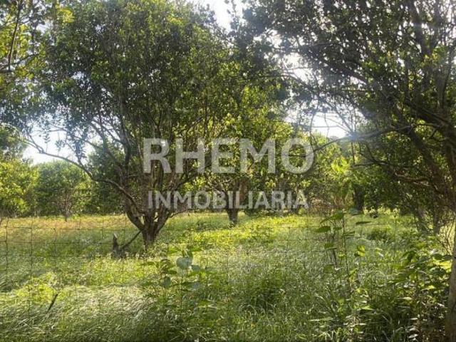Terreno en Venta media hectárea en Juana Moza, Tuxpan, Ver
