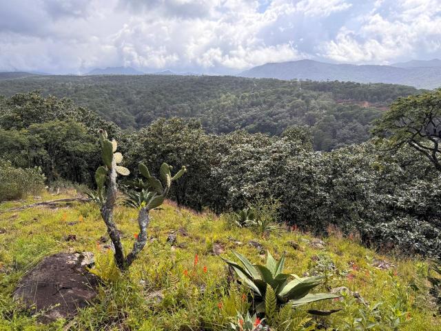 VENTA TERRENO MESETA TAPALPA, JALISCO
