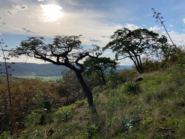 VENTA TERRENO MESETA TAPALPA, JALISCO